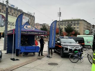 Profilaktyczny głos drogowy