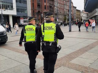 Profilaktyczny głos drogowy