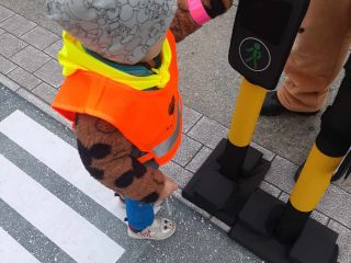 Profilaktyczny głos drogowy