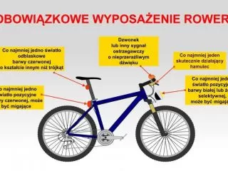 Rower