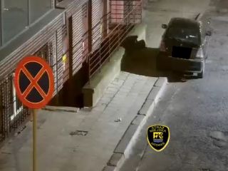 „Mistrzowie” parkowania w akcji „Wyzwanie: Parkowanie!” podsumowanie akcji w dniach 04 -10 marca 2024r