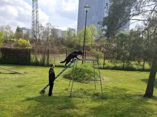 Konkurs plastyczny 