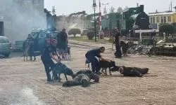 Atestacja psów służbowych. (1)