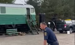 Atestacja psów służbowych. (4)