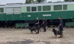 Atestacja psów służbowych. (6)