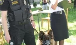 Balu na Dniach Koszutki 2013 r.