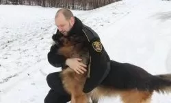 Balu w dniu przejścia na psią emeryturę (2)