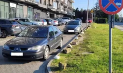 Wyzwanie: Parkowanie!  19-25 maja 2025r. (4)